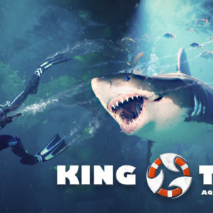 King Tide Header